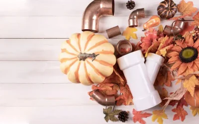 Thanksgiving Kitchen Plumbing Tips