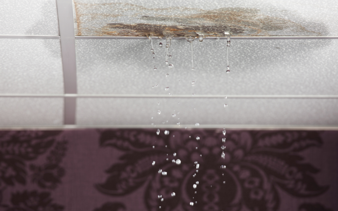 What to Do When Your Home is Experiencing a Major Leak